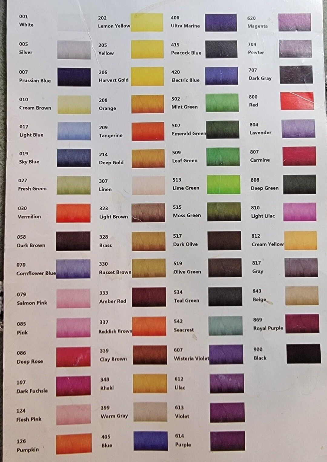 Skull with Baroque Background Stitched on Tulle